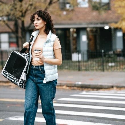 pexels-sam-lion-6001543