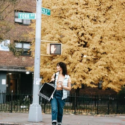 pexels-sam-lion-6001552